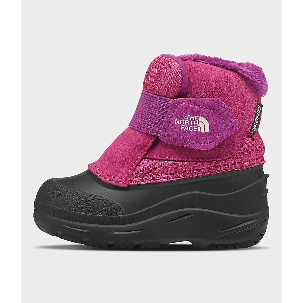 The North Face Boots Toddler Australia - The North Face Toddler Alpenglow Ii Rose Black (DXC-623098)